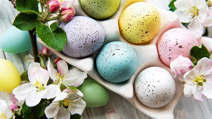 zdjęcie różnokolorowych jajek wielkanocnych w platonce otoczonych gałązkami kwitnącej wiśni